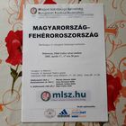 2002.04.17. Венгрия - Беларусь. Товарищеский матч.