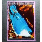 Марка Экваториальная Гвинея 1976 год Птицы