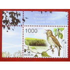 Беларусь. Марка Птица года. Восточный соловей. ( 1 марка ) 2007 года. 2-9.