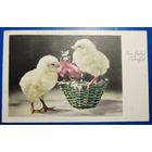 Открытка. Пасхальная. 1954 г. Германия.