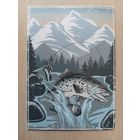 О-10. ПОДПИСАННАЯ ОТКРЫТКА РОССИЯ. РЫБАЛКА. ПРЫГАЮЩАЯ ФОРЕЛЬ.