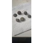 Пуговицы гирьки