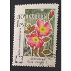 СССР 1960 Флора СССР.