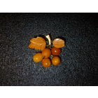 Антикварная Янтарная Брошь. Кенигсберг. RRR