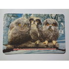 Календарик 1998 г. Parexbank. Любые операции по заказу клиентов.