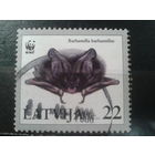 Латвия, 2008. WWF. Летучая мышь-мопс