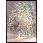 1987 год А.Исаков С Новым Годом! чист