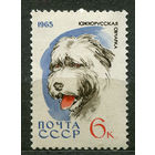Собаки. Южнорусская овчарка. 1965. Чистая