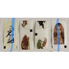 Наклейки от жвачки. Цена за 1шт.