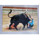 Барселона, коррида