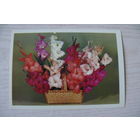 Круцко Л., Цветы; 1984, чистая.