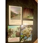 Календарики одним лотом