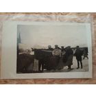 ПМВ. Восточный фронт. 1917. Демешковцы. Литва?