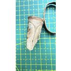 Тыльник и обжимное кольцо