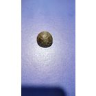 Пуговица орлянка