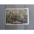 Продажа коллекции с 1 рубля! Почтовые марки СССР