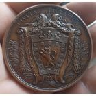 Французская бронзовая медаль 1786 года  Правление Людовика XVI, посвященная городу Пуатье и Антуану Була де Нантейлю