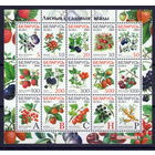 Беларусь 2004 Лесные и садовые ягоды (6)