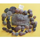 Пуговицы Польша, РИ, пряга РИ