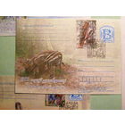 ПК Беларусь. Пуща Налибокская. СГ 27.11.2014