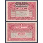 Австрия, 2 кроны 1917 (1919) г., P-50 (надпечатка DEUTSCHOSTERREICH), UNC