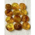 Пуговица из натурального янтаря лот 12 шт