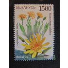 Беларусь 2009 год.