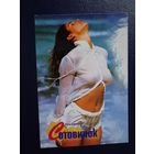 Календарик 2003 г.  Сотовичок.