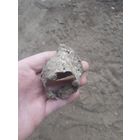 Лот по вермахту.