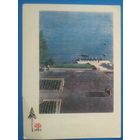 Ананьiны. Нарач. Набяражная. 1965 г. Чыстая.