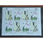 Беларусь. 1993. Европа-СЕПТ. Марк Шагал. Малый лист.