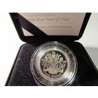 Англия 1 ФУНТ Елизавета II 2008 (Proof)