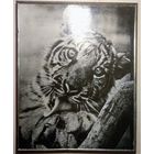 Художественная фотография "Тигренок",СССР,1974г.