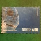 Норвегия 2004. Фауна. Рыбы. Anarhichas Lupus