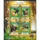 ФАУНА животные млекопитающие   БЛОК сто