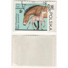 Польша 1978.11.10 (Mi)PL2584 марка из сер.Варшавский зоопарк - 0,50zl Лошадь Пржевальского (Equus przewalski) (г) (a1-10 ТОРГ/ВАША ЦЕНА