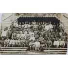 Военная фотооткрытка 1917. Минская губ