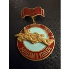Знак СССР. Тяжёлый. ( Бойцам 1ой Конной Армии ).