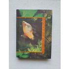 Книги с 1 рубля ! Распродажа !