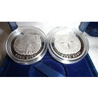 Торги. Пугач ("Филин"). 20 рублей . Серебро , проба 999 . 2010 год . В родной капсуле !