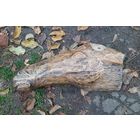 Голова под рог лося, большая , массивная.