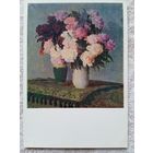 1952. Чичкан. Пионы