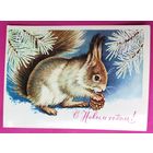 С новым годом! Чистая. 1981 года. Достян. 2599.