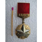 Знак. ЦК ВЛКСМ. Молодой гвардеец пятилетки. 2 ст. ММД, тяжёлый