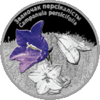Памятная монета "Званочак персікалісты" Колокольчик персиколистный. 20 рублей 2014. Серебро 999
