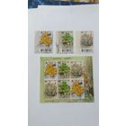 РБ 2019       3м+бл лишайники