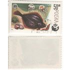 Польша 1979.04.26 (Mi)PL2616 марка из сер.100-летие спортивного рыболовства 50gr Европейская камбала (Platichthys flesus) (г) (a1-16 ТОРГ/ВАША ЦЕНА