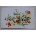 Бодрихина Л., Поздравляю! 1990, двойная, подписана.