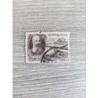 Докучаев 1949