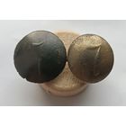 Пуговицы РИА 7 полк.